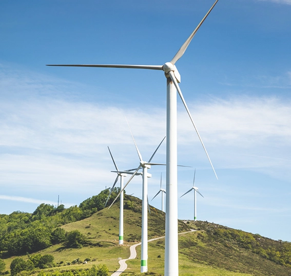 environment and climate