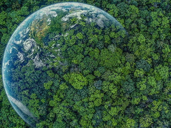 environment and climate