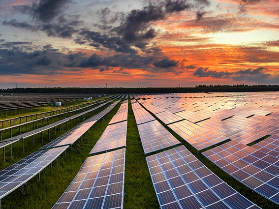 environment and climate