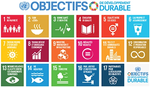 UN Sustainable Development Goals
