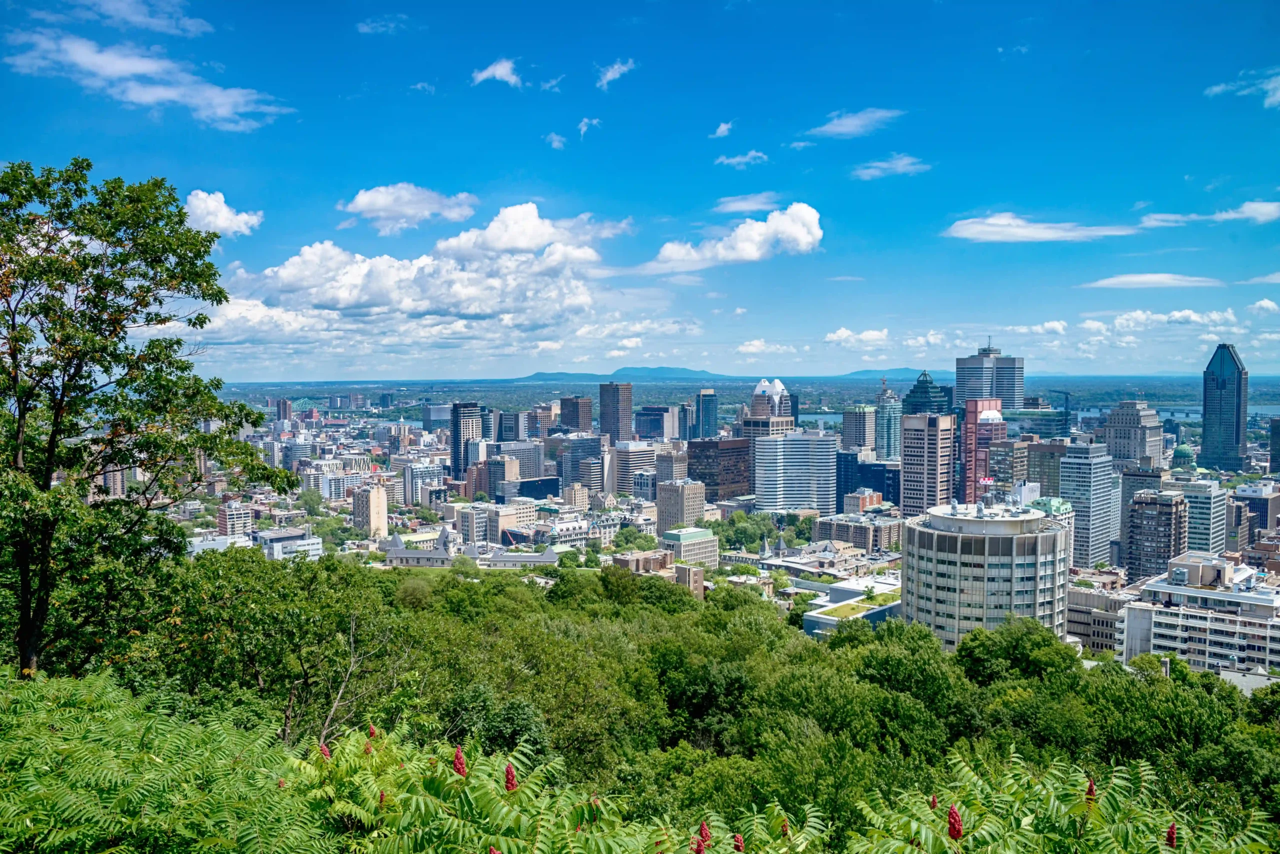 1 article scientifique à découvrir : METEODYN à eSim 2026 au Canada